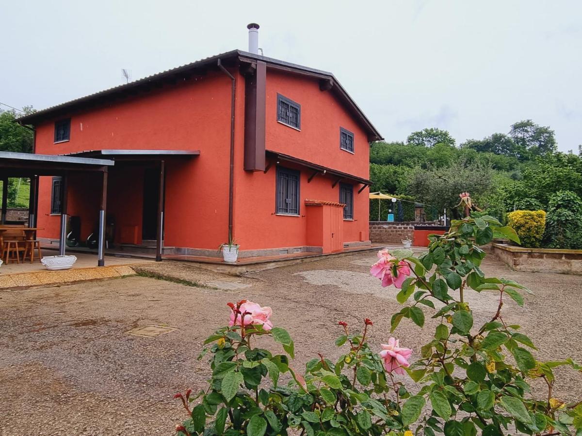 Country House Dolce Nocciola Vignanello Exterior photo